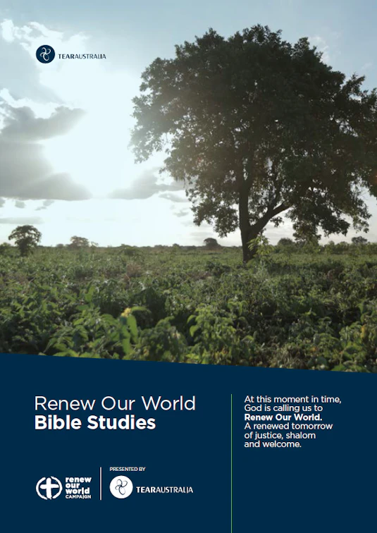 Tear Renew Our Word Bible Study Guide
