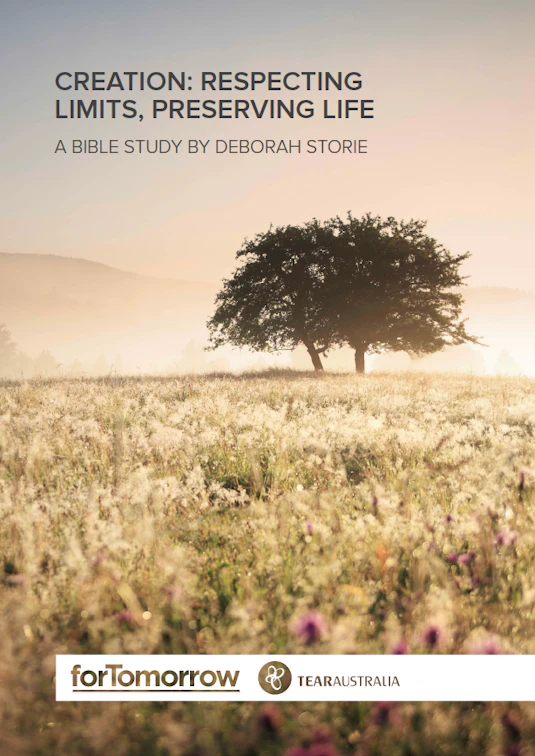 Creation Respecting Limits Deborah Storie